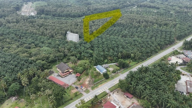 Tanah Pertanian Freehold Sg Raya Mukim Pasir Panjang Port Dickson — gambar 2