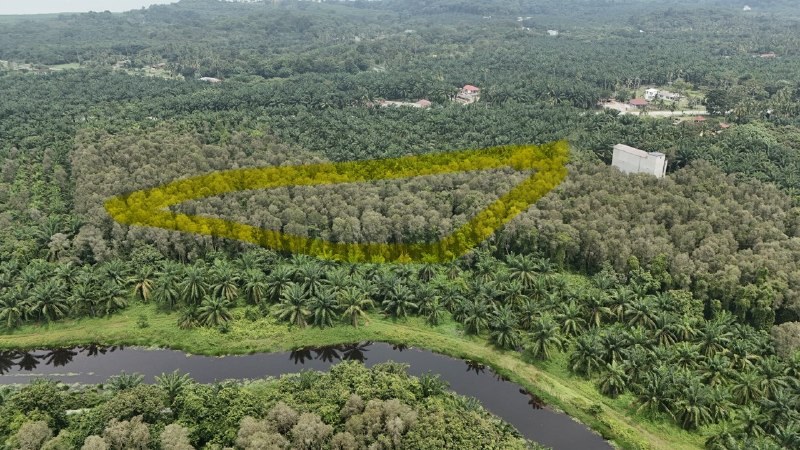 Tanah Pertanian Freehold Sg Raya Mukim Pasir Panjang Port Dickson — gambar 4