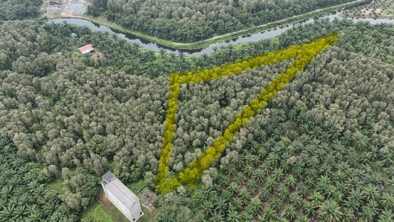 Tanah Pertanian Freehold Sg Raya Mukim Pasir Panjang Port Dickson — gambar 1